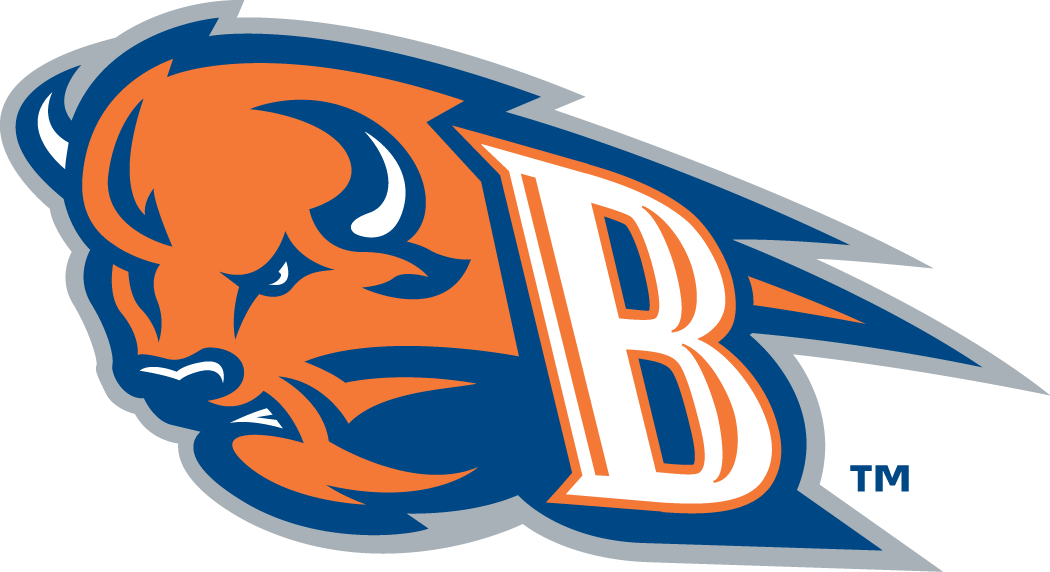 Bucknell Bison 2002-Pres Alternate Logo DIY iron on transfer (heat transfer)